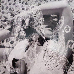 Bjork - Vespertine -Plak - One Little Indian Records