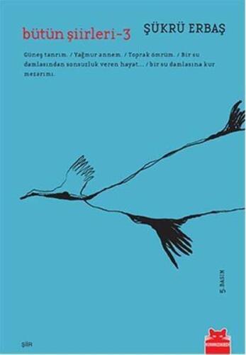 Bütün Şiirleri – 3 Şükrü Erbaş Kırmızı Kedi Yayınevi - 1