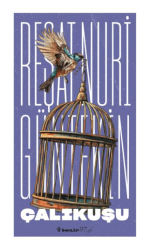 Çalıkuşu/Reşat Nuri Güntekin - İnkılab Yayınları