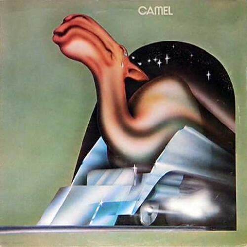 Camel-Camel -Plak - 1