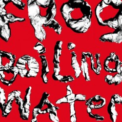 DIIV - Frog In Boiling Water -Plak - Concord