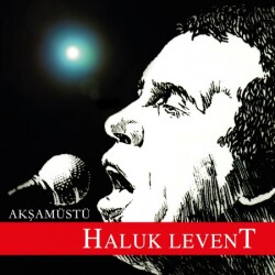 Haluk Levent - Akşamüstü -Plak - Sembol Plak
