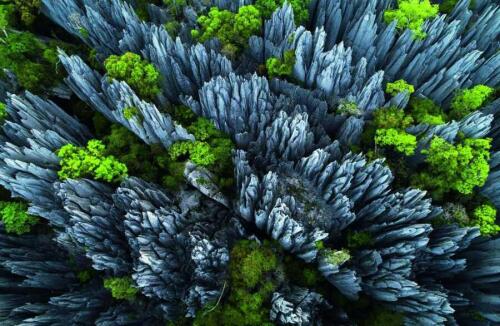 Masterpieces of the Earth : From Fire to Ice, the Creation of Our World - Kolektif - 3