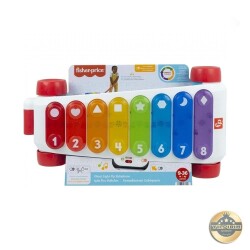 Mattel Fp Eglen Ogr Egıt Hjk36 Dev Ksılofon-2 - Fisher Price