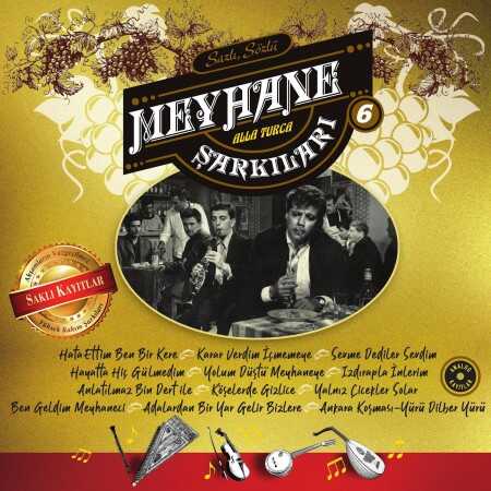 Meyhane Şarkıları Vol.6 -plak