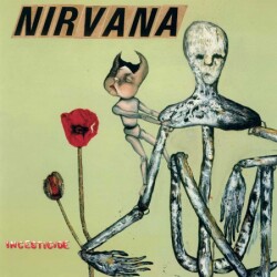 Nirvana - Incesticide -Plak - Geffen