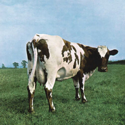 Pink Floyd - Atom Heart Mother -Plak - Palermo Müzik