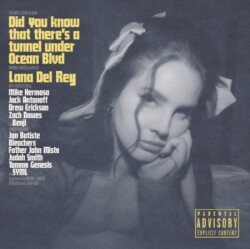  Lana Del Rey Dıd You Know That There-Plak - Polydor