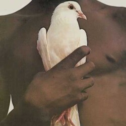 Santana Greatest Hits Plak - Sony