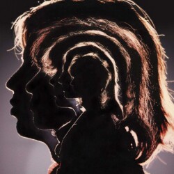 The Rolling Stones - Hot Rocks 1964-1971 -Plak - Universal