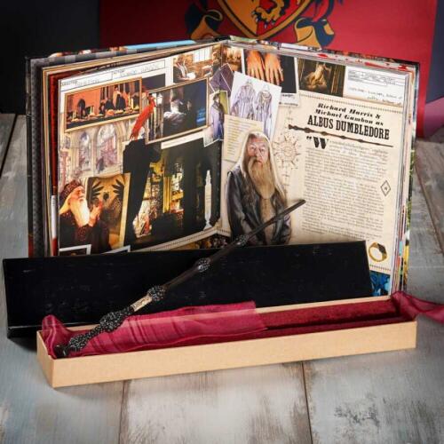 Wizarding World Harry Potter - Asa - Albus Dumbledore ASA003 - 4