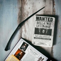 Wizarding World Harry Potter - Asa - Bellatrix Lestrange ASA018 - 2