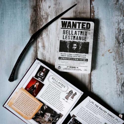 Wizarding World Harry Potter - Asa - Bellatrix Lestrange ASA018 - 4