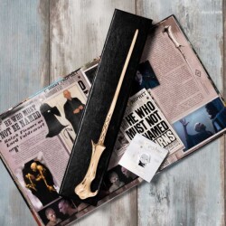 Wizarding World Harry Potter - Asa - Voldemort ASA002 - 3
